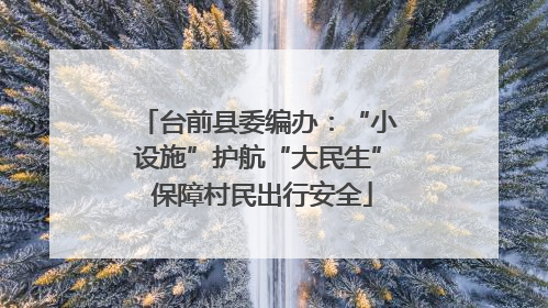 台前县委编办：“小设施”护航“大民生” 保障村民出行安全