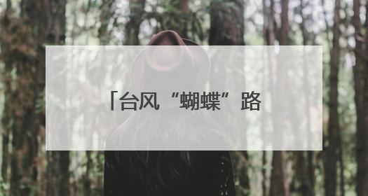 台风“蝴蝶”路径有变！或在海南这一带登陆