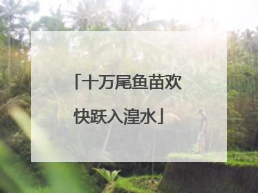 十万尾鱼苗欢快跃入湟水