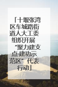 十堰张湾区车城路街道人大工委组织开展 “聚力建支点·建功示范区”代表行动