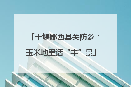 十堰郧西县关防乡：玉米地里话“丰”景