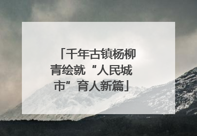 千年古镇杨柳青绘就“人民城市”育人新篇