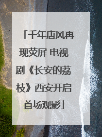 千年唐风再现荧屏 电视剧《长安的荔枝》西安开启首场观影