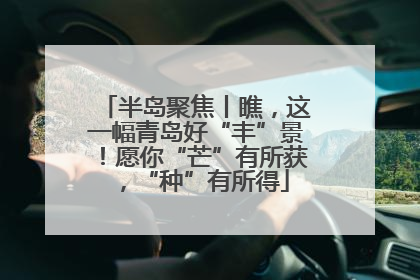 半岛聚焦丨瞧，这一幅青岛好“丰”景！愿你“芒”有所获，“种”有所得