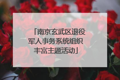 南京玄武区退役军人事务系统组织丰富主题活动