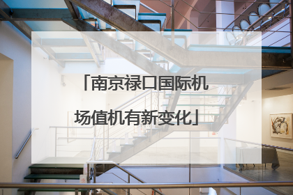 南京禄口国际机场值机有新变化