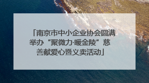 南京市中小企业协会圆满举办“聚微力·暖金陵”慈善献爱心暨义卖活动