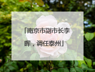 南京市副市长李晖，调任泰州