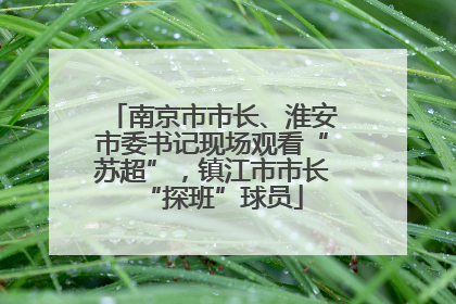 南京市市长、淮安市委书记现场观看“苏超”，镇江市市长“探班”球员