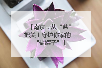 南京：从“盐”把关！守护你家的“盐罐子”