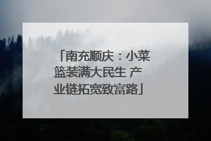 南充顺庆：小菜篮装满大民生 产业链拓宽致富路