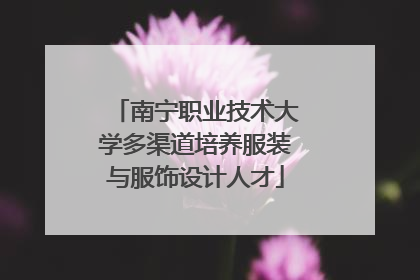 南宁职业技术大学多渠道培养服装与服饰设计人才