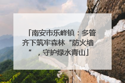 南安市乐峰镇：多管齐下筑牢森林“防火墙”，守护绿水青山