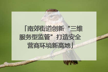 南郊街道创新“三维服务型监管”打造安全营商环境新高地