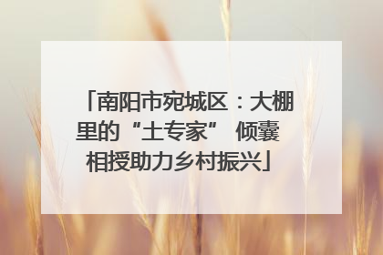 南阳市宛城区：大棚里的“土专家” 倾囊相授助力乡村振兴