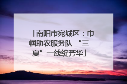 南阳市宛城区：巾帼助农服务队 “三夏”一线绽芳华
