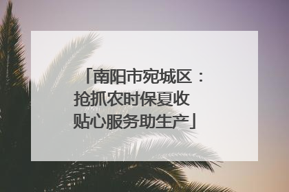 南阳市宛城区：抢抓农时保夏收 贴心服务助生产