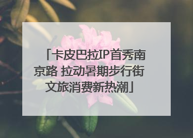 卡皮巴拉IP首秀南京路 拉动暑期步行街文旅消费新热潮
