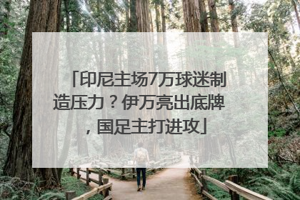 印尼主场7万球迷制造压力？伊万亮出底牌，国足主打进攻