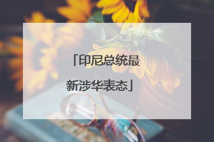 印尼总统最新涉华表态