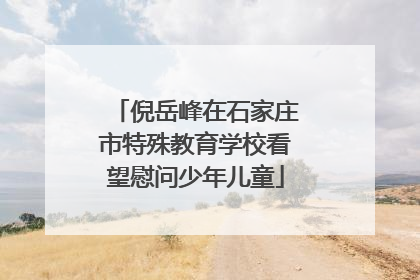 倪岳峰在石家庄市特殊教育学校看望慰问少年儿童