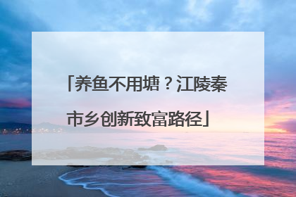 养鱼不用塘？江陵秦市乡创新致富路径