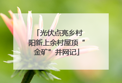光伏点亮乡村 阳新上余村屋顶“金矿”并网记