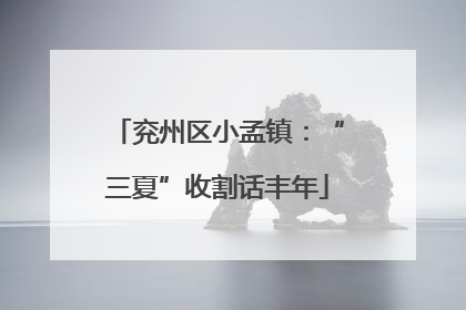 兖州区小孟镇：“三夏”收割话丰年