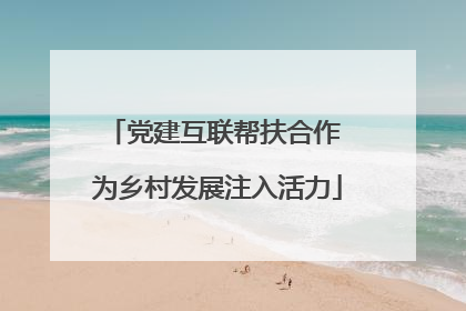 党建互联帮扶合作 为乡村发展注入活力