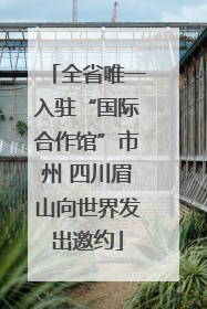 全省唯一入驻“国际合作馆”市州 四川眉山向世界发出邀约