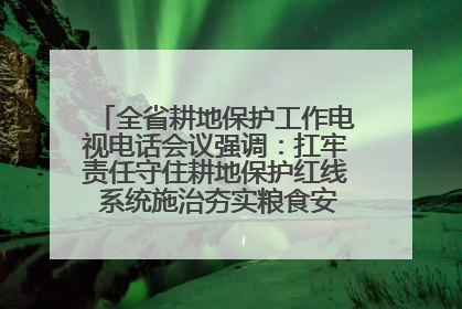 全省耕地保护工作电视电话会议强调：扛牢责任守住耕地保护红线 系统施治夯实粮食安全根基 王宁作出批示 王予波出席并讲话
