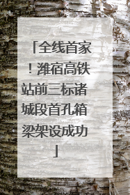 全线首家！潍宿高铁站前三标诸城段首孔箱梁架设成功