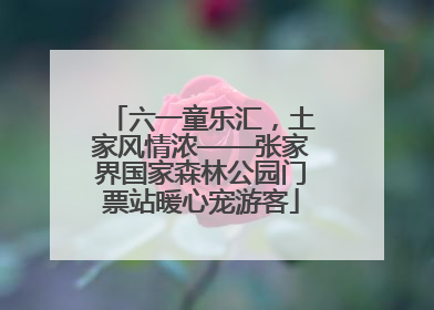 六一童乐汇，土家风情浓——张家界国家森林公园门票站暖心宠游客