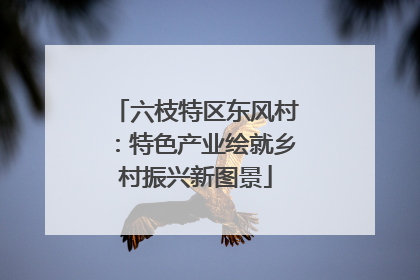 六枝特区东风村：特色产业绘就乡村振兴新图景