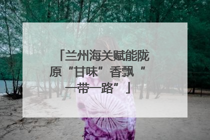 兰州海关赋能陇原“甘味”香飘“一带一路”