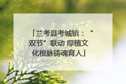 兰考县考城镇：“双节”联动 厚植文化根脉铸魂育人