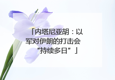 内塔尼亚胡：以军对伊朗的打击会“持续多日”