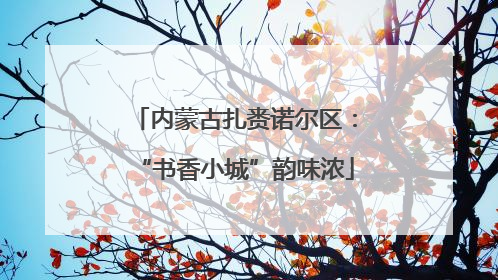 内蒙古扎赉诺尔区：“书香小城”韵味浓