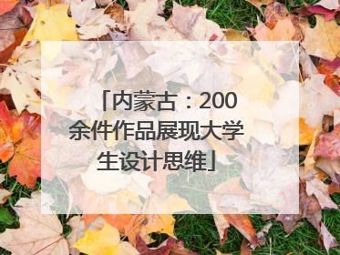 内蒙古：200余件作品展现大学生设计思维