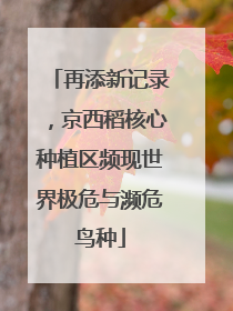 再添新记录，京西稻核心种植区频现世界极危与濒危鸟种