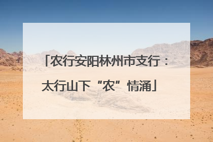 农行安阳林州市支行：太行山下“农”情涌