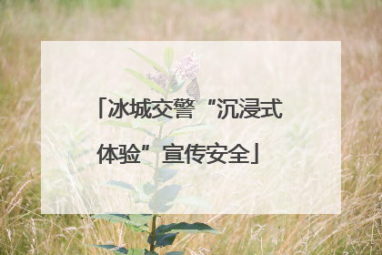 冰城交警“沉浸式体验”宣传安全