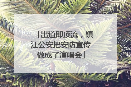 出道即顶流，镇江公安把安防宣传做成了演唱会