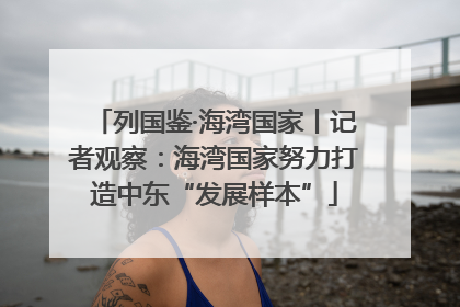 列国鉴·海湾国家丨记者观察：海湾国家努力打造中东“发展样本”