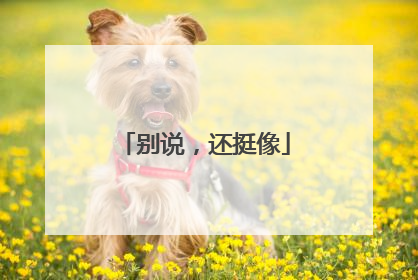 别说，还挺像