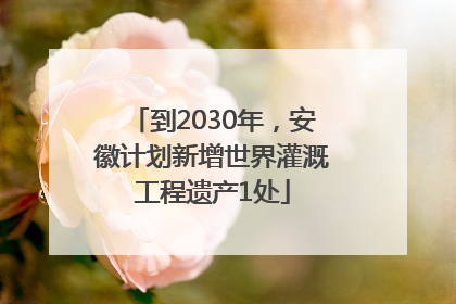 到2030年，安徽计划新增世界灌溉工程遗产1处