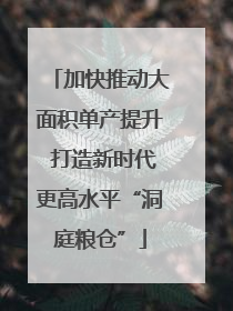 加快推动大面积单产提升 打造新时代更高水平“洞庭粮仓”