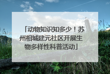 动物知识知多少！苏州相城建元社区开展生物多样性科普活动