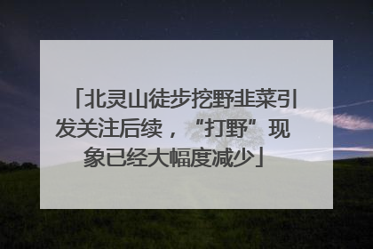 北灵山徒步挖野韭菜引发关注后续，“打野”现象已经大幅度减少