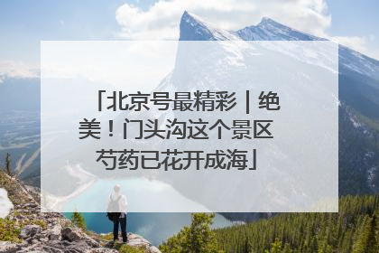 北京号最精彩｜绝美！门头沟这个景区芍药已花开成海